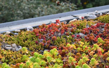the cost of Glascoed green roof installation