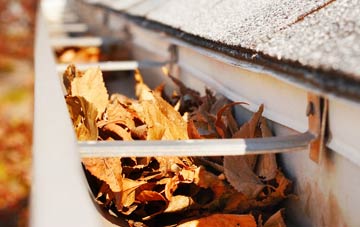 Glascoed gutter cleaning companies