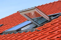 Glascoed roof window